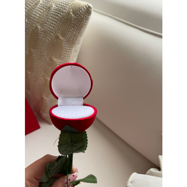 Boîte à bijoux en velours rouge