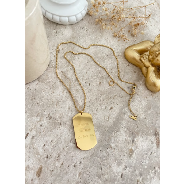 Collier 65CM avec Plaque Darling