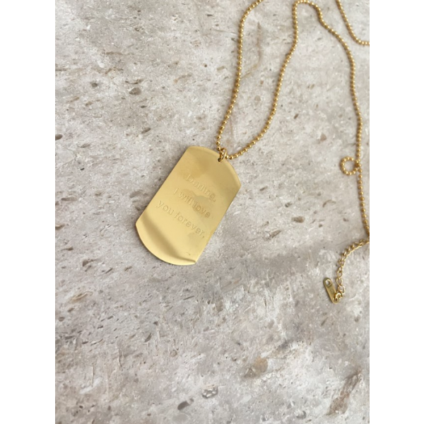 Collier 65CM avec Plaque Darling