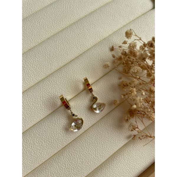 Boucle OIE