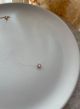 Collier Fil transparent Strass Rose